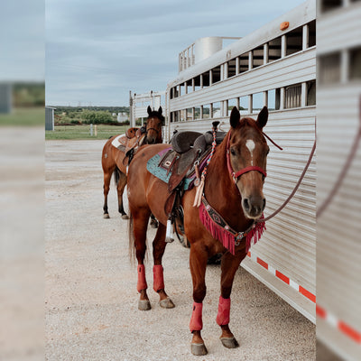 What I Pack Before Hitting the Road: My FREE Horse Trailer Packing Checklist
