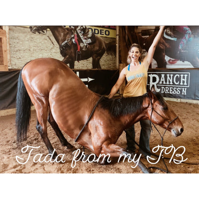 8 Things I've Learned from My OTTB